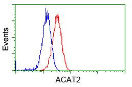 ACAT2 Antibody in Flow Cytometry (Flow)