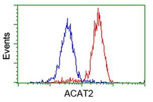 ACAT2 Antibody in Flow Cytometry (Flow)