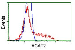 ACAT2 Antibody in Flow Cytometry (Flow)