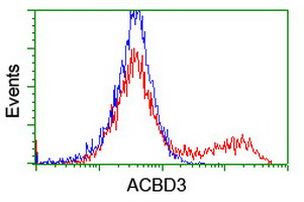 ACBD3 Antibody in Flow Cytometry (Flow)