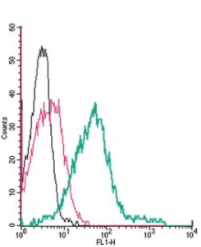 TRPA1 (extracellular) Antibody in Flow Cytometry (Flow)