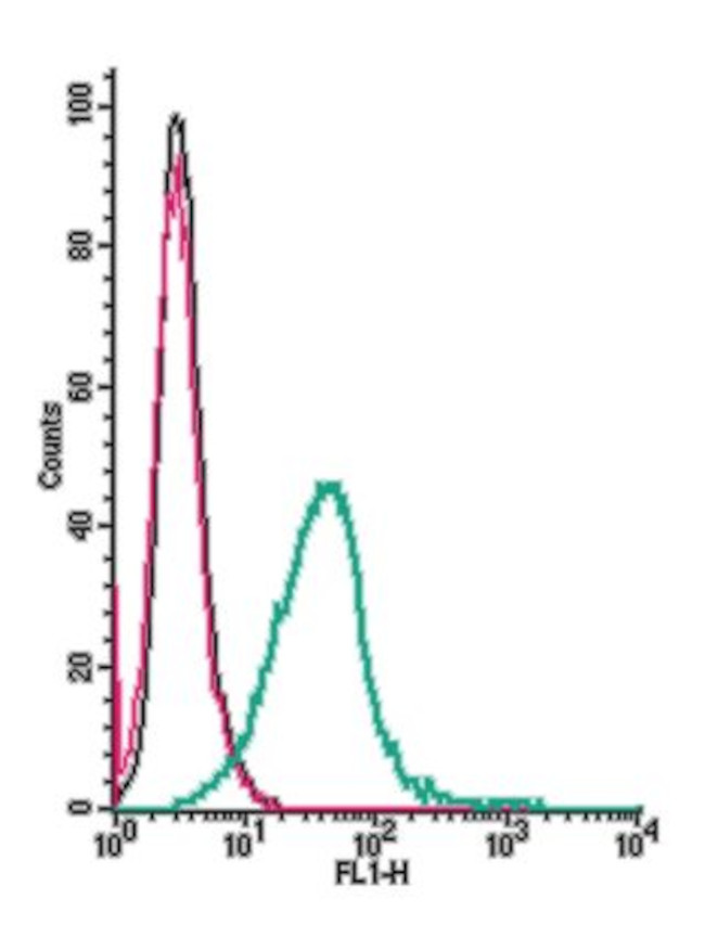 TRPV2 (VRL1) (extracellular) Antibody in Flow Cytometry (Flow)