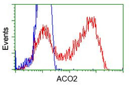 ACO2 Antibody in Flow Cytometry (Flow)