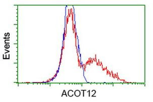 ACOT12 Antibody in Flow Cytometry (Flow)