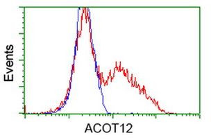 ACOT12 Antibody in Flow Cytometry (Flow)