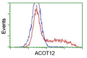 ACOT12 Antibody in Flow Cytometry (Flow)