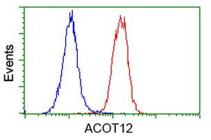 ACOT12 Antibody in Flow Cytometry (Flow)