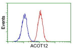 ACOT12 Antibody in Flow Cytometry (Flow)