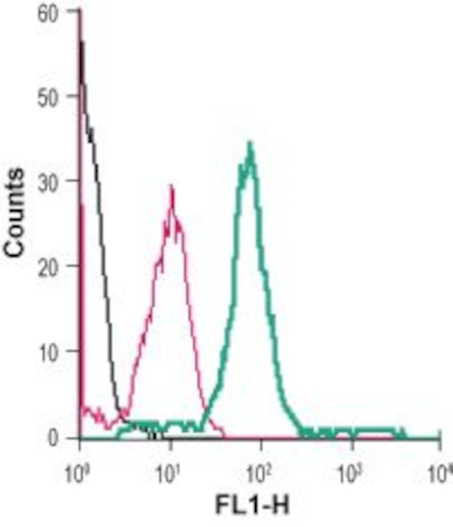 Cannabinoid Receptor 1 (extracellular) Antibody in Flow Cytometry (Flow)