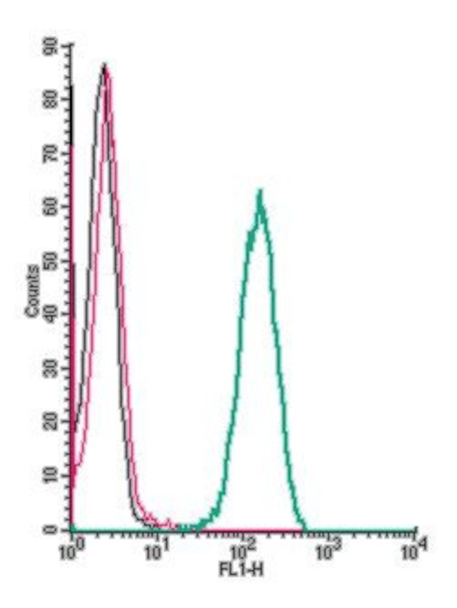 Cannabinoid Receptor 2 (extracellular) Antibody in Flow Cytometry (Flow)