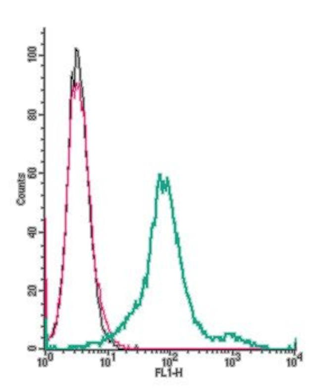 CCR7 (extracellular) Antibody in Flow Cytometry (Flow)
