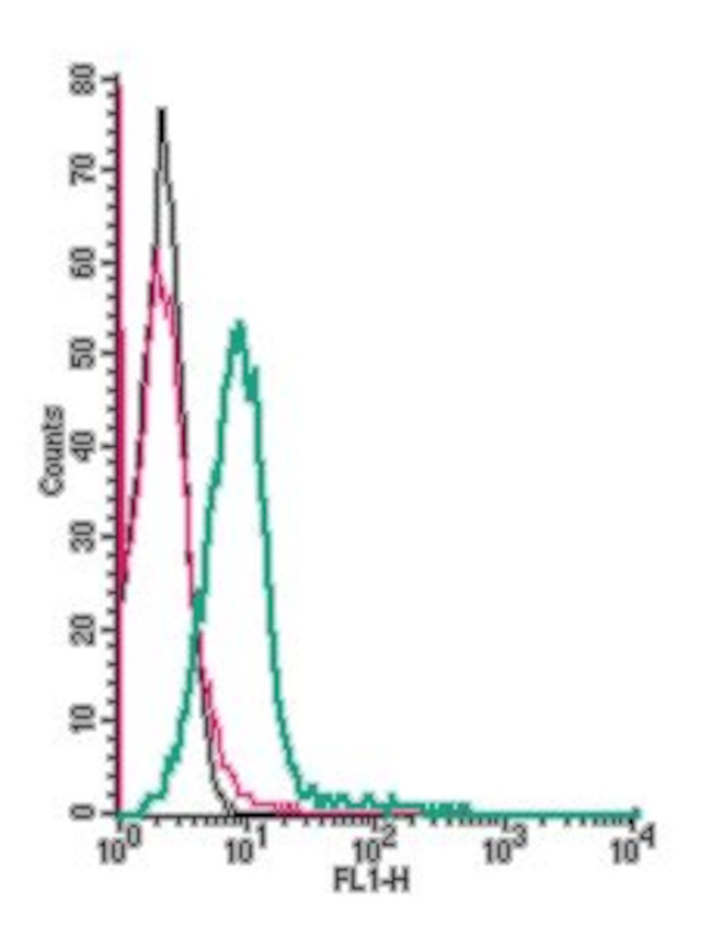 CCR9 (extracellular) Antibody in Flow Cytometry (Flow)