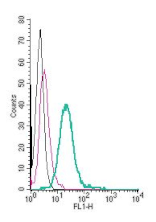 CX3CR1 (extracellular) Antibody in Flow Cytometry (Flow)