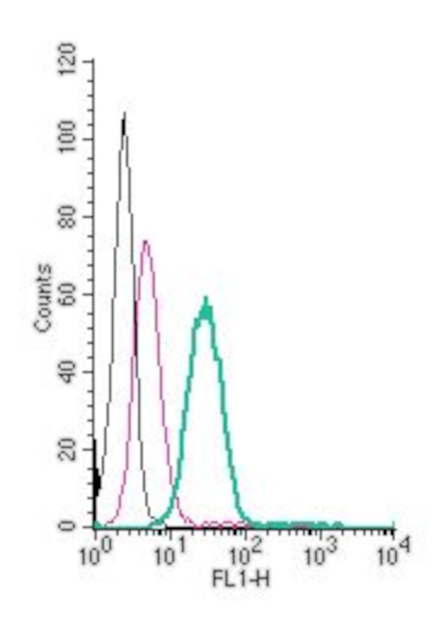 CX3CR1 (extracellular) Antibody in Flow Cytometry (Flow)