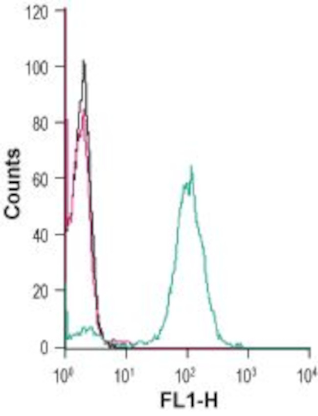 CX3CR1 (extracellular) Antibody in Flow Cytometry (Flow)