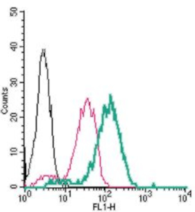 CX3CR1 (extracellular) Antibody in Flow Cytometry (Flow)