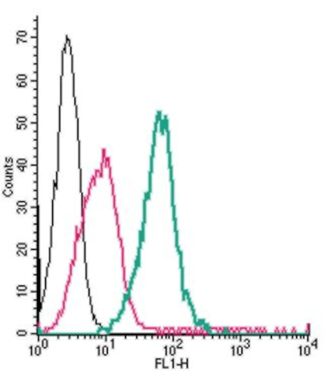 CRLR/CALCRL (extracellular) Antibody in Flow Cytometry (Flow)