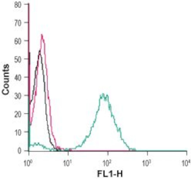 GPR55 (extracellular) Antibody in Flow Cytometry (Flow)