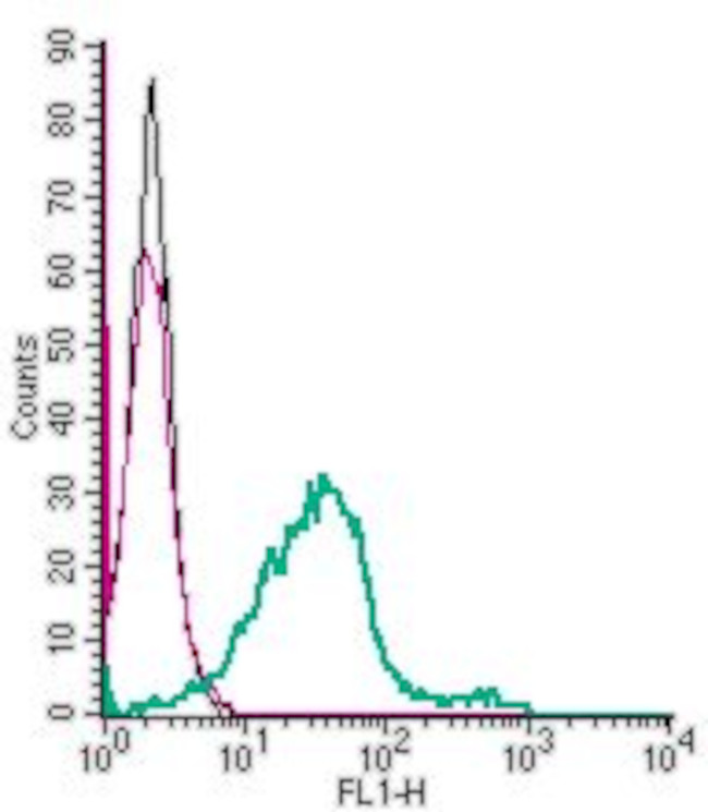 GPR55 (extracellular) Antibody in Flow Cytometry (Flow)