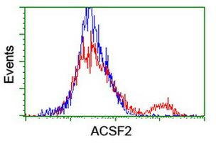 ACSF2 Antibody in Flow Cytometry (Flow)