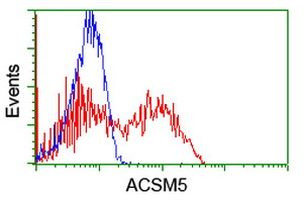 ACSM5 Antibody in Flow Cytometry (Flow)