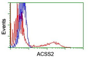 ACSS2 Antibody in Flow Cytometry (Flow)