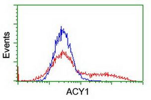 ACY1 Antibody in Flow Cytometry (Flow)