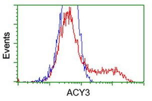 ACY3 Antibody in Flow Cytometry (Flow)