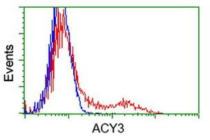 ACY3 Antibody in Flow Cytometry (Flow)