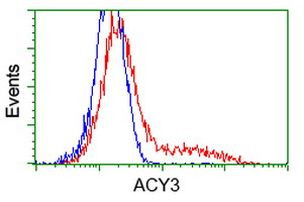 ACY3 Antibody in Flow Cytometry (Flow)