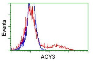 ACY3 Antibody in Flow Cytometry (Flow)