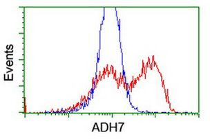 ADH7 Antibody in Flow Cytometry (Flow)