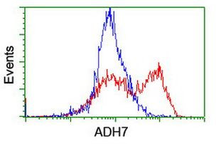 ADH7 Antibody in Flow Cytometry (Flow)