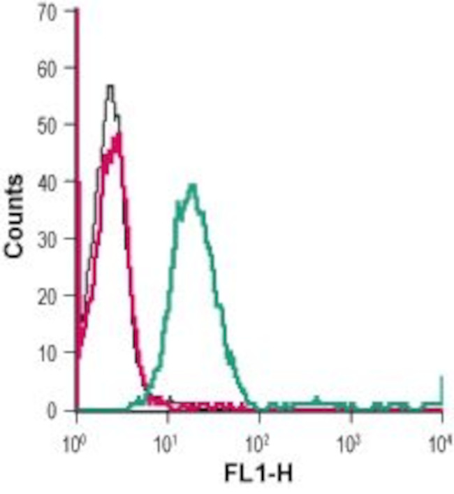 D2 Dopamine Receptor (extracellular) Antibody in Flow Cytometry (Flow)