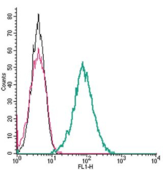 Endothelin Receptor B (extracellular) Antibody in Flow Cytometry (Flow)