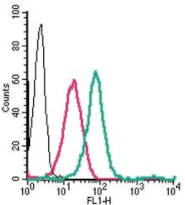 GPER1/GPR30 (extracellular) Antibody in Flow Cytometry (Flow)