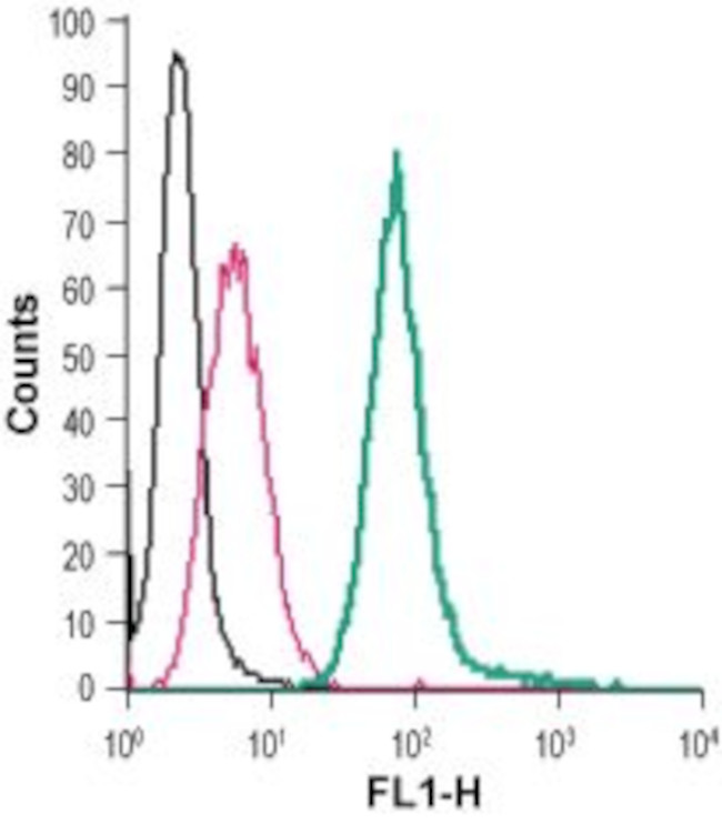 EMR1 (ADGRE1) (extracellular) Antibody in Flow Cytometry (Flow)