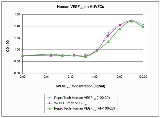 Human VEGF-165, Animal-Free Protein in Functional Assay (FN)