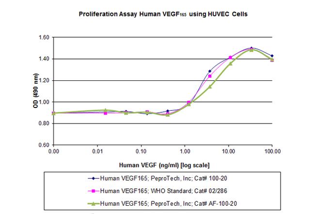 Human VEGF-165, Animal-Free Protein in Functional Assay (FN)