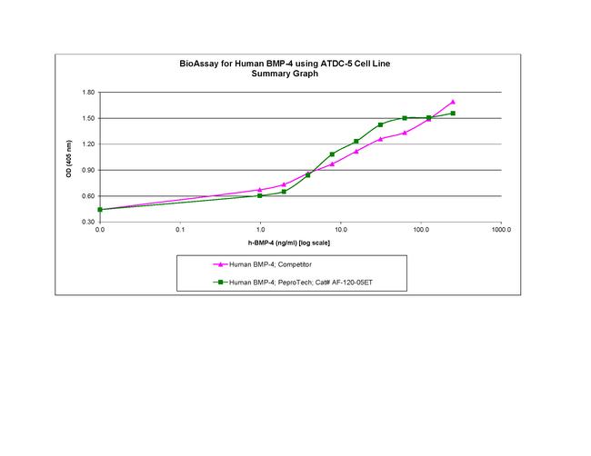 Human BMP-4, Animal-Free Protein in Functional Assay (FN)