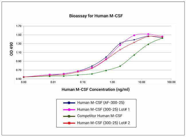 Human M-CSF, Animal-Free Protein in Functional Assay (FN)