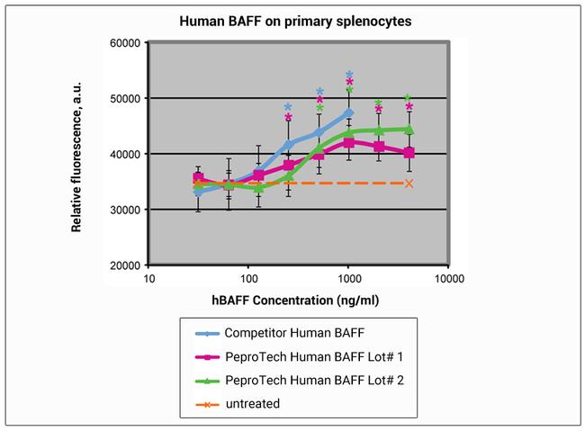 Human BAFF (BLyS), Animal-Free Protein in Functional Assay (FN)