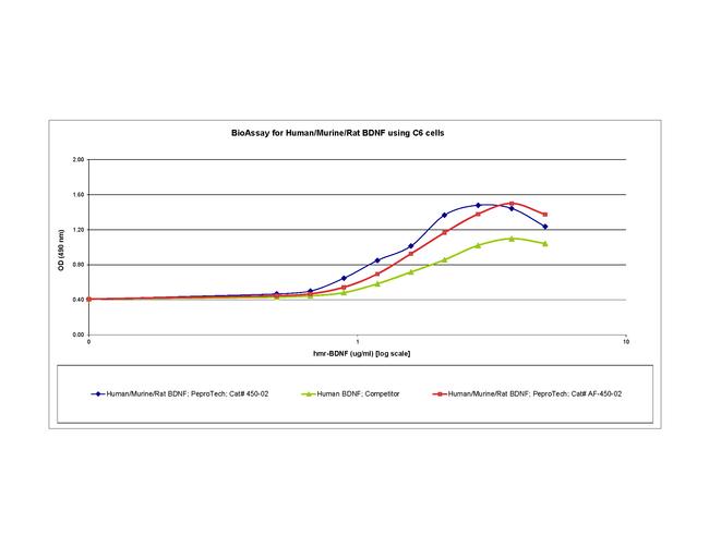 Human/Mouse/Rat BDNF, Animal-Free Protein in Functional Assay (Functional)