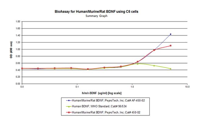 Human/Mouse/Rat BDNF, Animal-Free Protein in Functional Assay (FN)