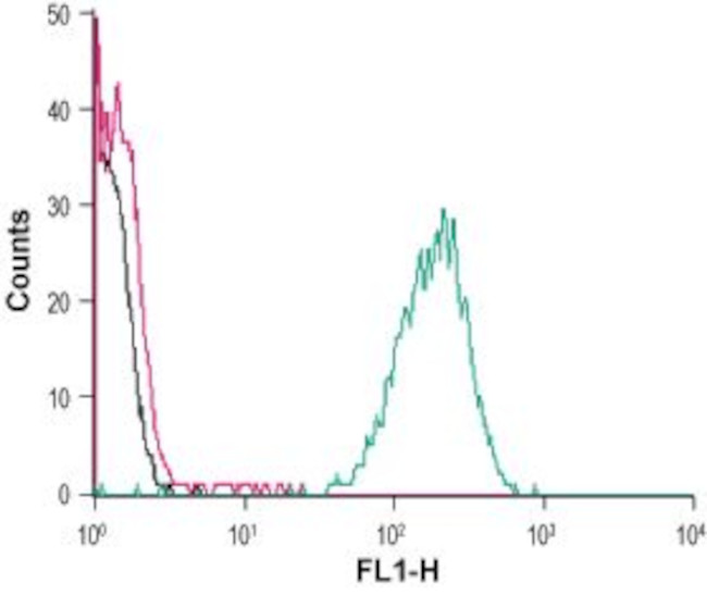 GPR120/FFAR4 (extracellular) Antibody in Flow Cytometry (Flow)