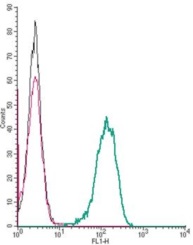 Frizzled-2 (FZD2) (extracellular) Antibody in Flow Cytometry (Flow)