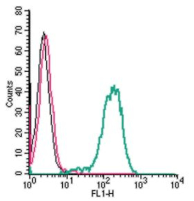 Frizzled-1 (FZD1) (extracellular) Antibody in Flow Cytometry (Flow)