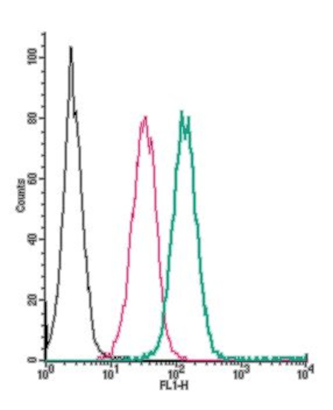 GABA(B) Receptor 1 (extracellular) Antibody in Flow Cytometry (Flow)