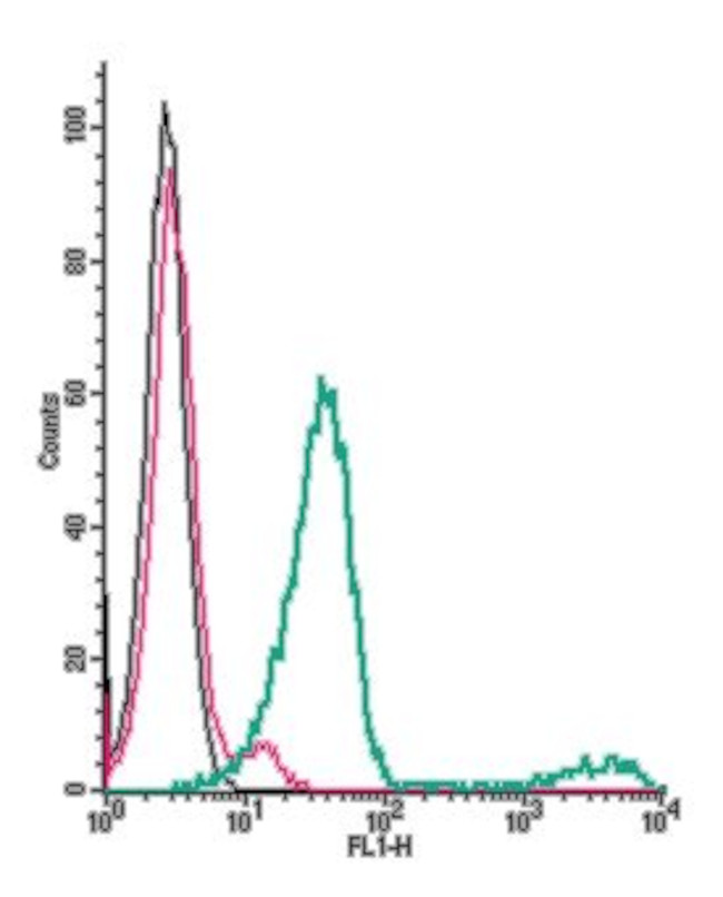 GABA(B) Receptor 1 (extracellular) Antibody in Flow Cytometry (Flow)