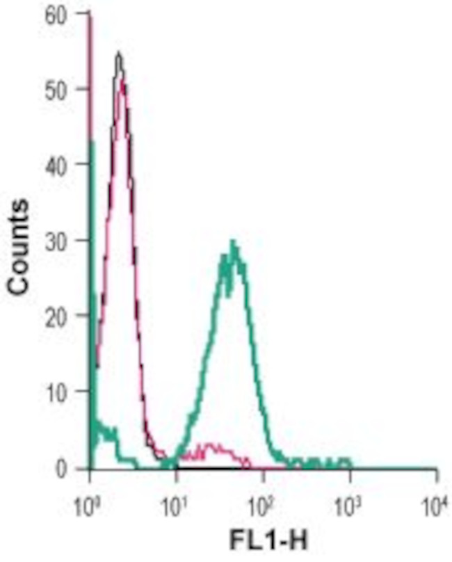 mGluR5 (extracellular) Antibody in Flow Cytometry (Flow)